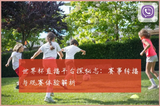世界杯直播平台探秘志：赛事转播与观赛体验解析