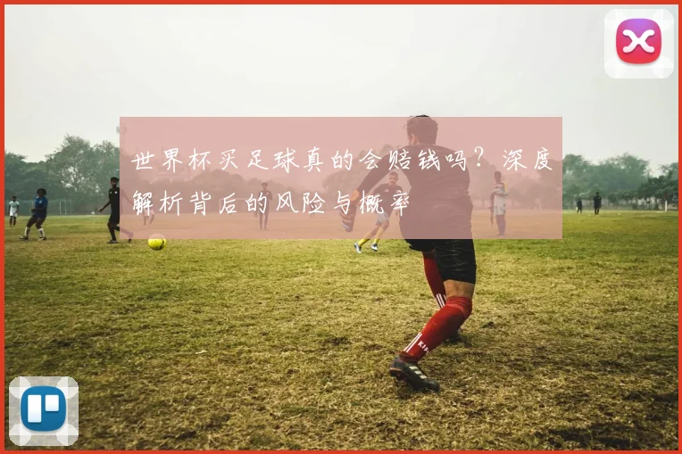 世界杯买足球真的会赔钱吗？深度解析背后的风险与概率