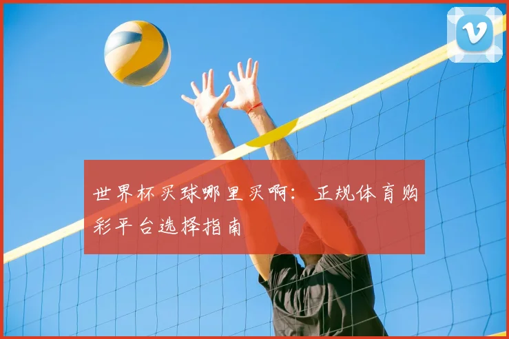 世界杯买球哪里买啊：正规体育购彩平台选择指南