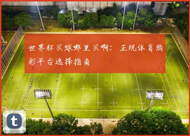 世界杯买球哪里买啊：正规体育购彩平台选择指南